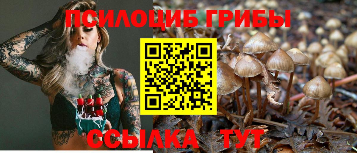 Галлюциногенные грибы Cubensis Фролово